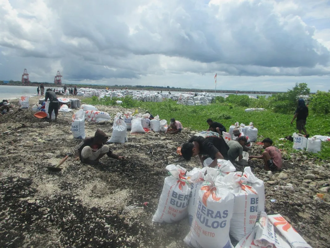 Pollution Liabilities